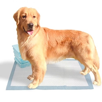 دستمال کاغذی Fluff Pulp SAP پد یکبار مصرف حیوان خانگی برای سگ